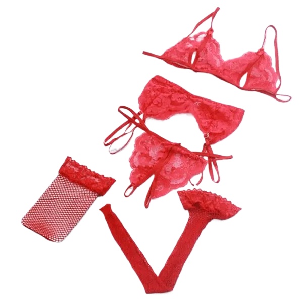 Lace Women Lingerie Set 4 Pcs  - Sheer Mesh Bra avis et prix